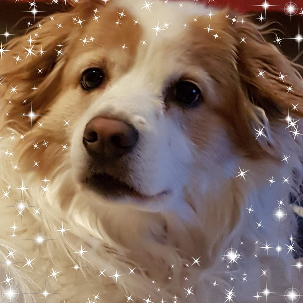 Meet your Posher, Cody